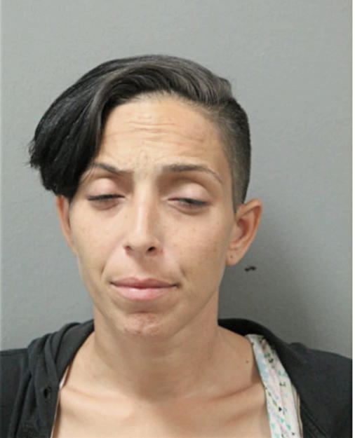AMARILYS DEL RIO, Cook County, Illinois