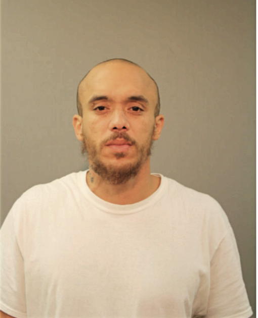 GLENN O WATKINS, Cook County, Illinois