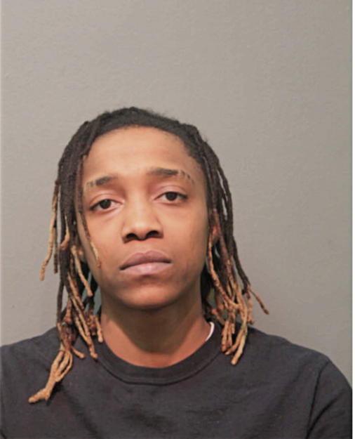 JEANICE N WHITTINGTON, Cook County, Illinois