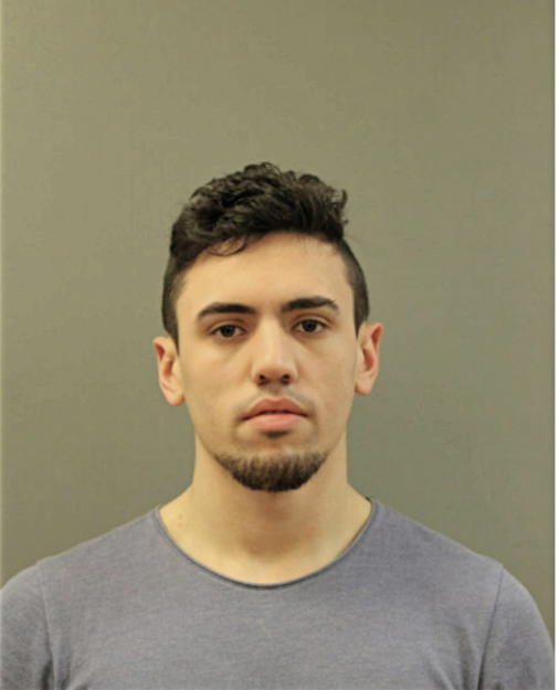 TRENT WOODS, Cook County, Illinois