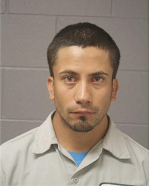LUIS A ALAMO, Cook County, Illinois