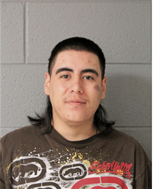 BRIAN I AVILA, Cook County, Illinois