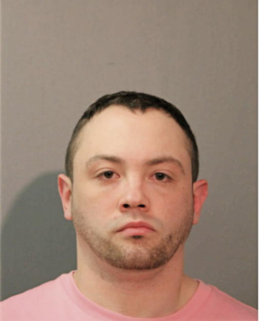 RYAN M BARNES, Cook County, Illinois