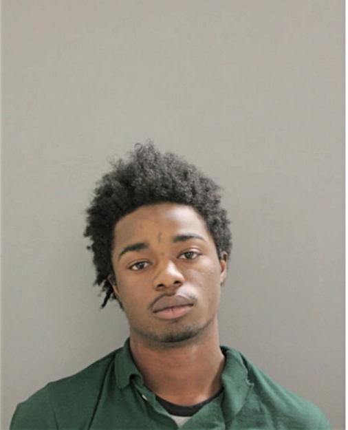 TERRY BREWER, Cook County, Illinois