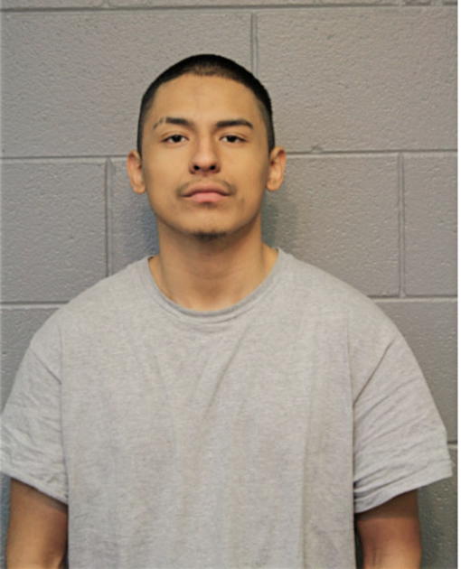 ERICK BUSTOS, Cook County, Illinois