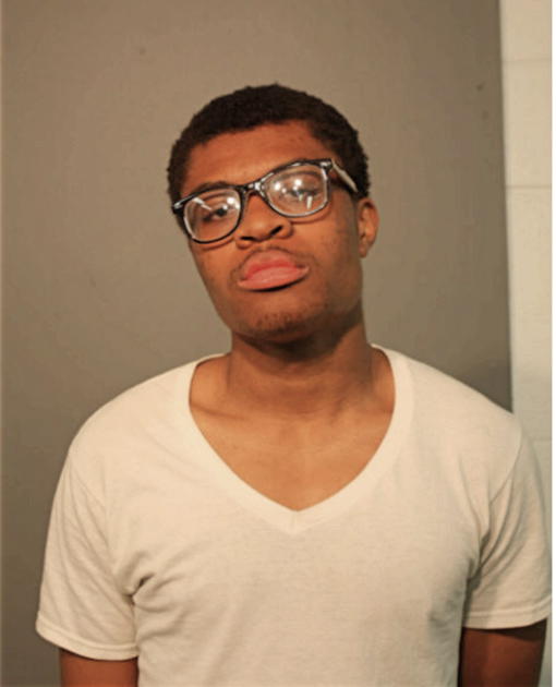 BRANDON COLLINS, Cook County, Illinois