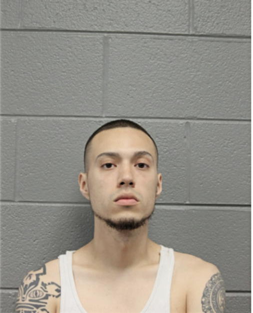 JULIAN COLON, Cook County, Illinois