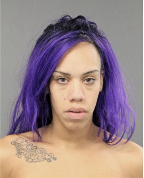 DARIANNE L FLOWLER, Cook County, Illinois
