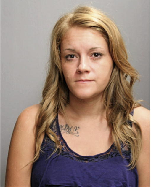 DANIELLE D GOEKE, Cook County, Illinois