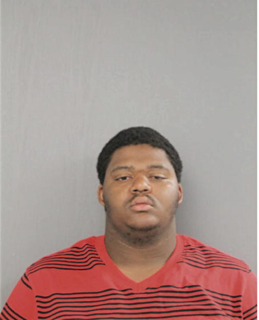 RASHAWN T GOODEN, Cook County, Illinois