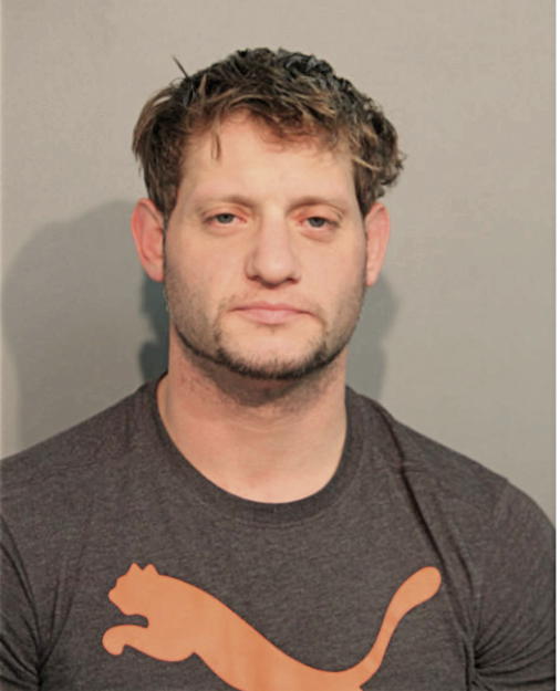 JOSEPH R MUSCHIO, Cook County, Illinois