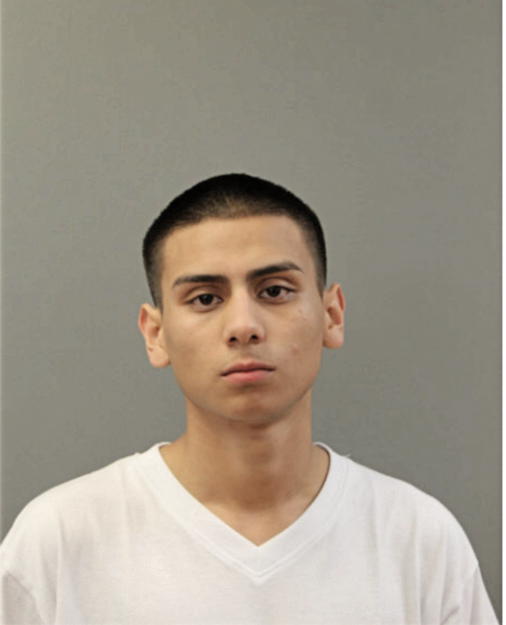 EDGAR ORTEGA, Cook County, Illinois