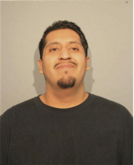 JUAN C ORTEGA, Cook County, Illinois