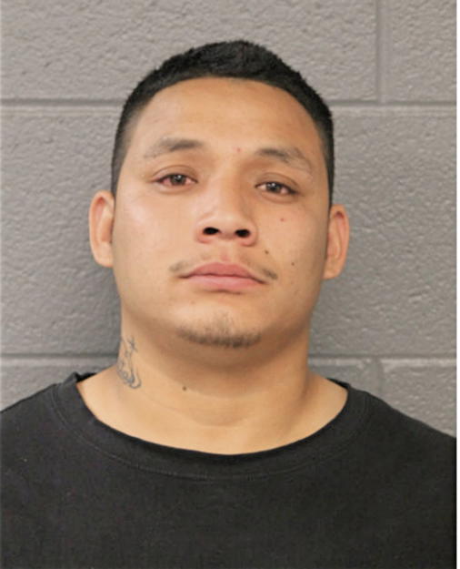 DANIEL PALOMO, Cook County, Illinois