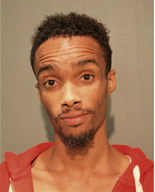 DARRY L PAYNE, Cook County, Illinois