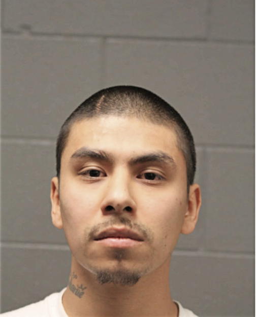 MARTIN R RAMIREZ, Cook County, Illinois