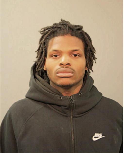 BRIAN D REED, Cook County, Illinois