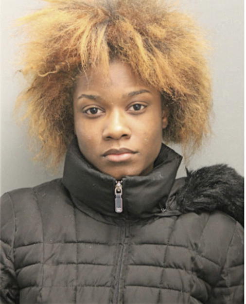 ALEXIS M RICHARDSON, Cook County, Illinois