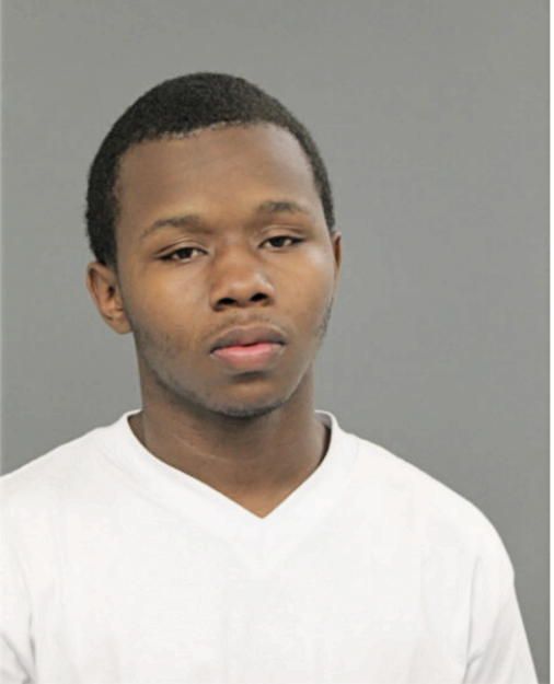 JAMES A RIDDLE, Cook County, Illinois