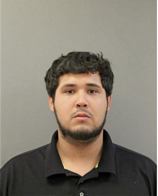 ALEXIS SANCHEZ, Cook County, Illinois