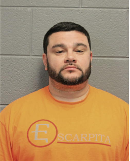 GABRIEL LUIS SAUCEDO, Cook County, Illinois