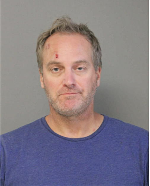 MICHAEL J SHANAHAN, Cook County, Illinois