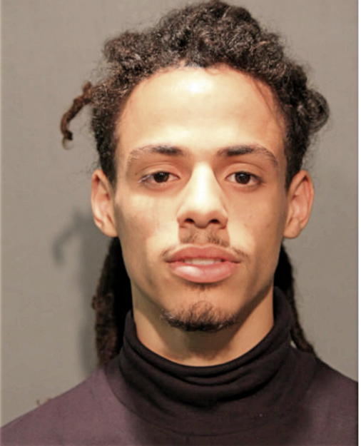 ETHAN E VIETS-VANLEAR, Cook County, Illinois