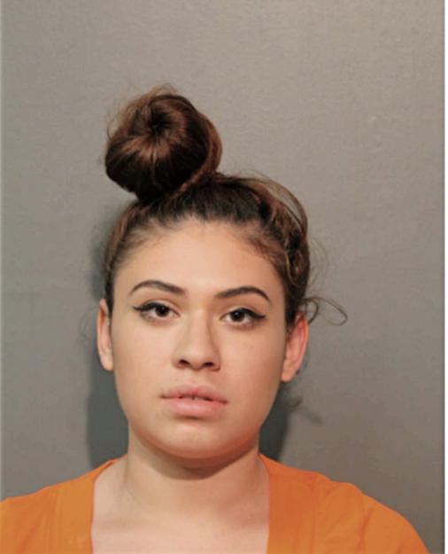 GABRIELA WAY, Cook County, Illinois