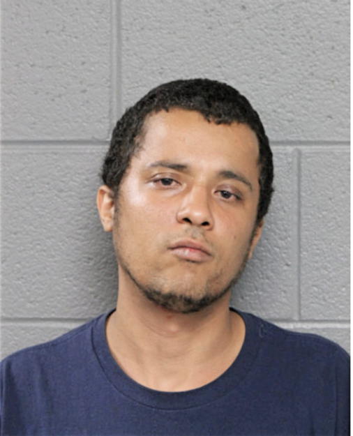 NICK ADAMS, Cook County, Illinois