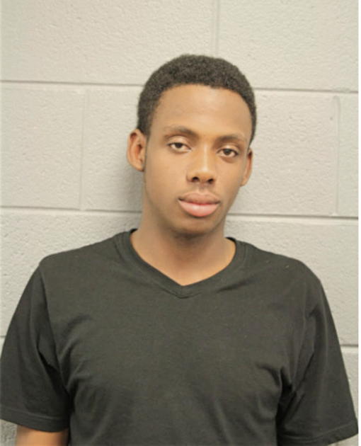 RAYVON X ALLISON, Cook County, Illinois