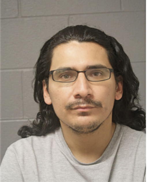 MARIO ANDRADE, Cook County, Illinois