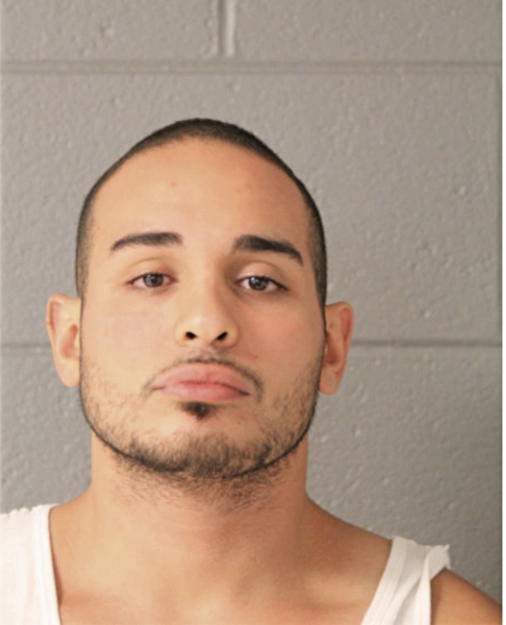 DANIEL A CAGUANA, Cook County, Illinois