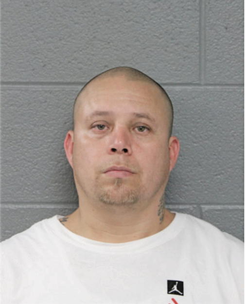 ELKIN A CASTILLO, Cook County, Illinois