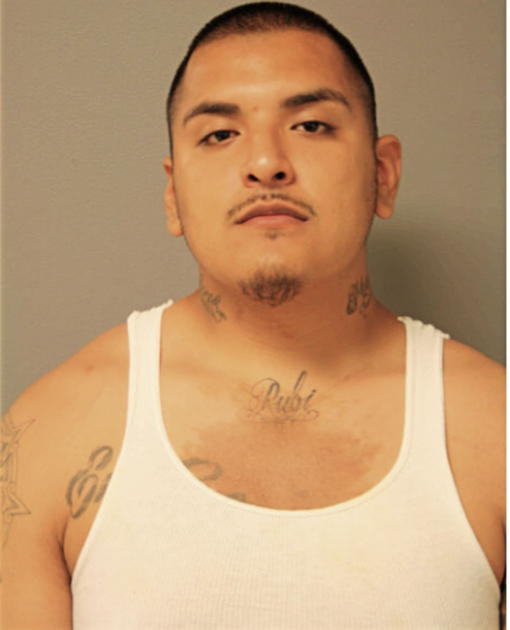 JUAN M DELGADO, Cook County, Illinois