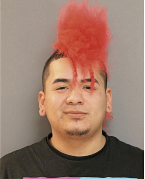 MARIO A DOMINGUEZ, Cook County, Illinois