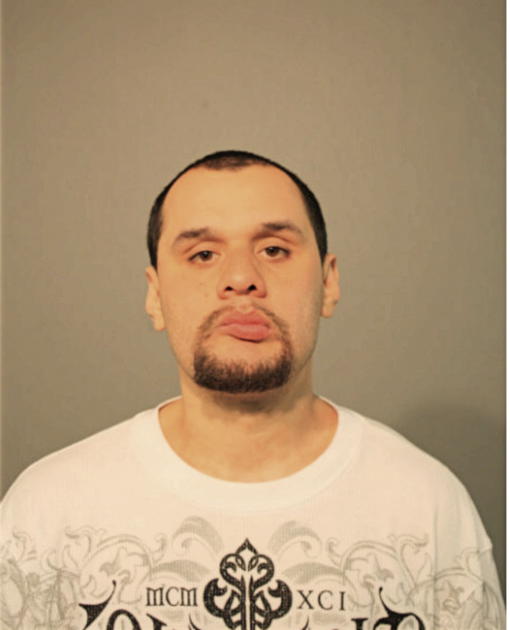 RONALD S FAHY, Cook County, Illinois