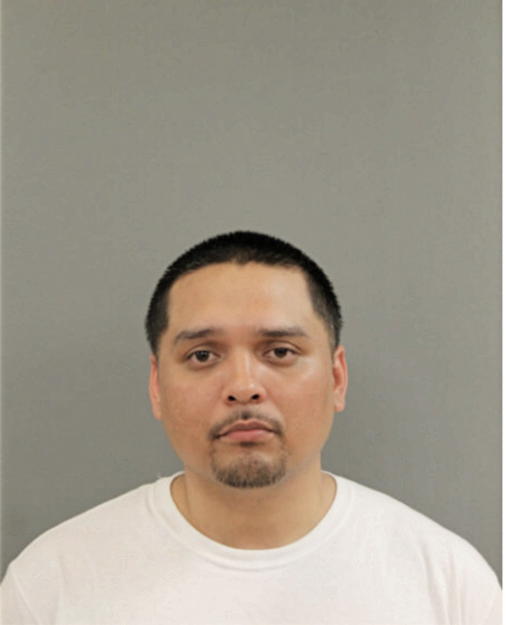 VINCENT M GONZALES, Cook County, Illinois