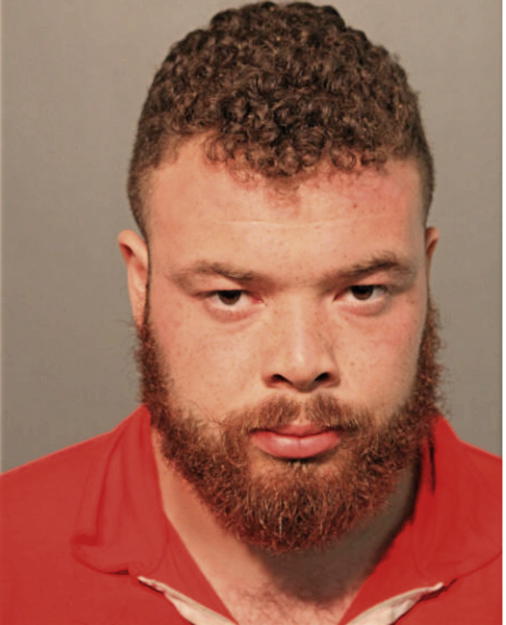 PAULO M GRIEDER, Cook County, Illinois