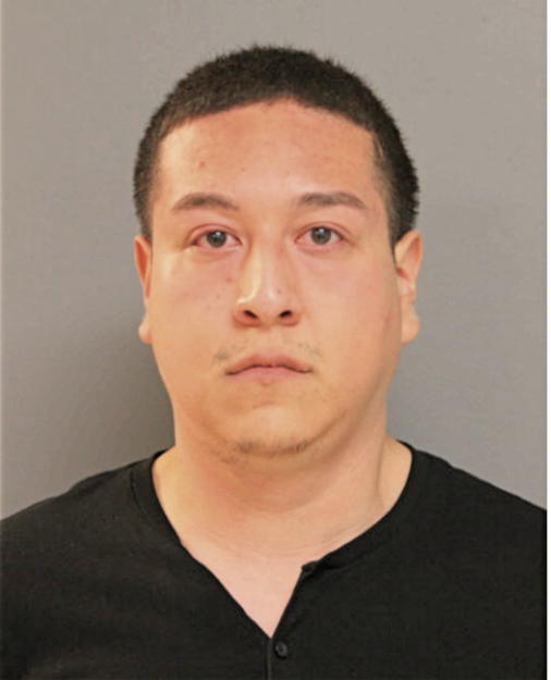 RAUL GUZMAN, Cook County, Illinois