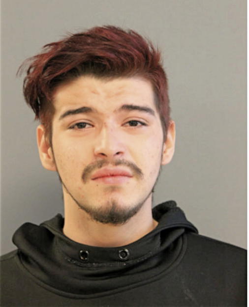 WILLIAM HALM, Cook County, Illinois