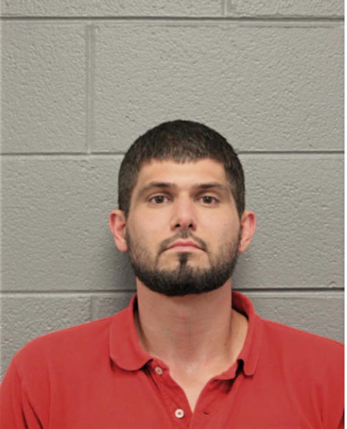 RYAN J HELLER, Cook County, Illinois