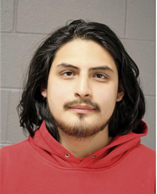 FELIPE E HERNANDEZ, Cook County, Illinois