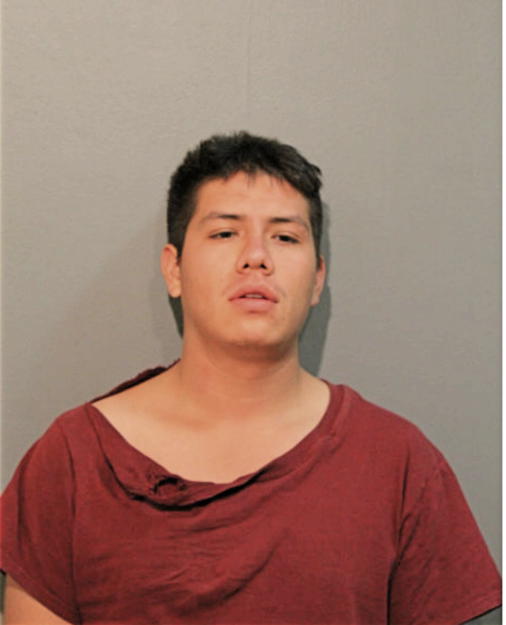 JULIO E HERNANDEZ-JIMENEZ, Cook County, Illinois