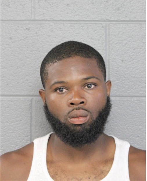 TERRANCE L HOLLINS, Cook County, Illinois
