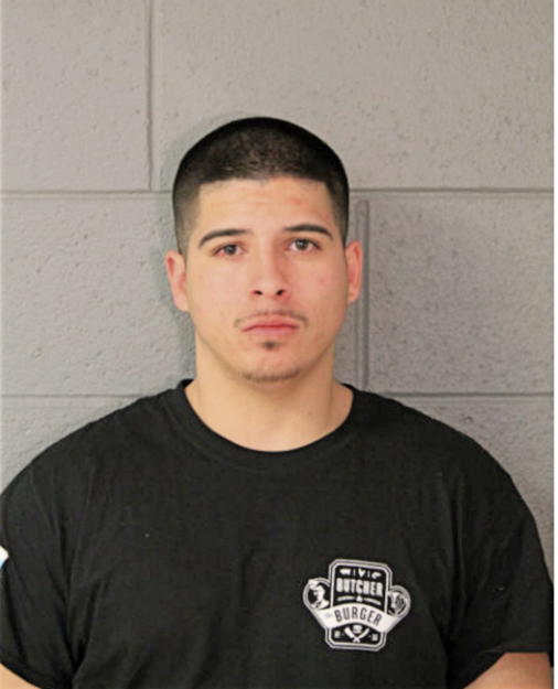 JAVIER P PANTOJA, Cook County, Illinois