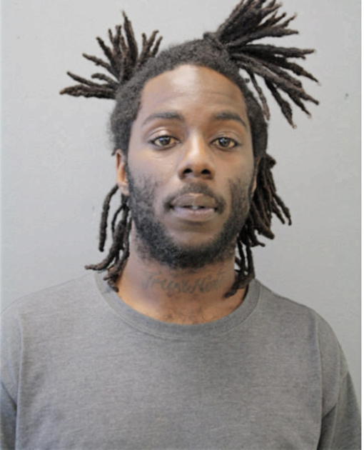 DARNELL N PATTERSON, Cook County, Illinois