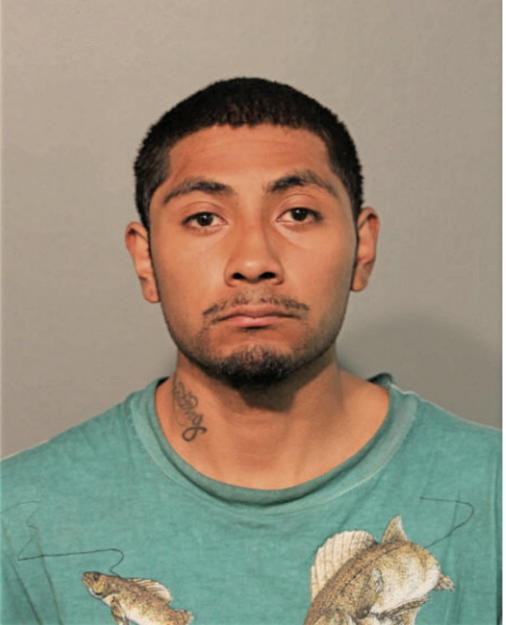 EDGAR PAVIA, Cook County, Illinois