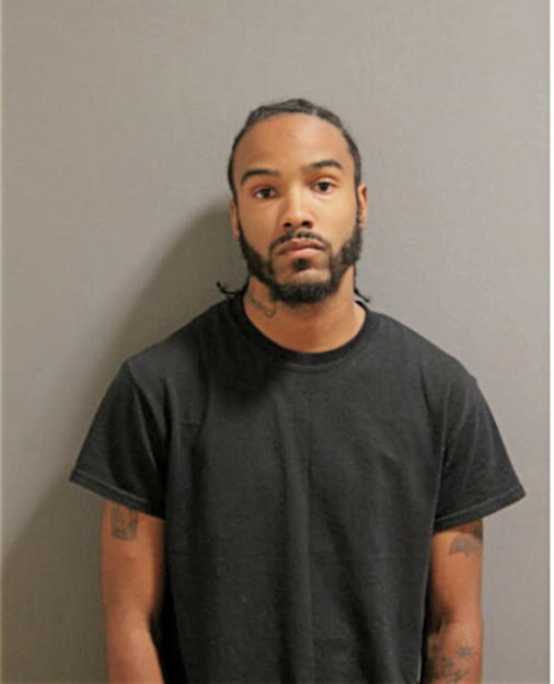 MICHAEL J RICHMOND, Cook County, Illinois
