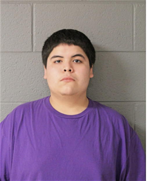 ENRIQUE E RODRIGUEZ, Cook County, Illinois