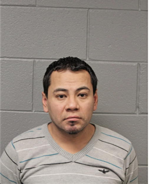 BLADIMIR MENDOZA SORIANO, Cook County, Illinois